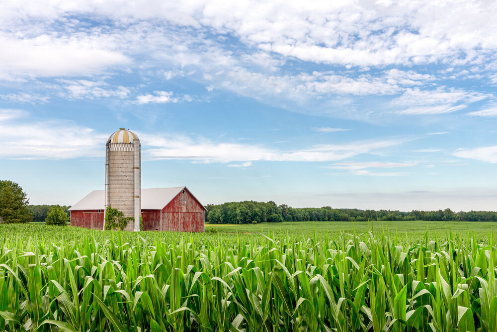 6. Wisconsin